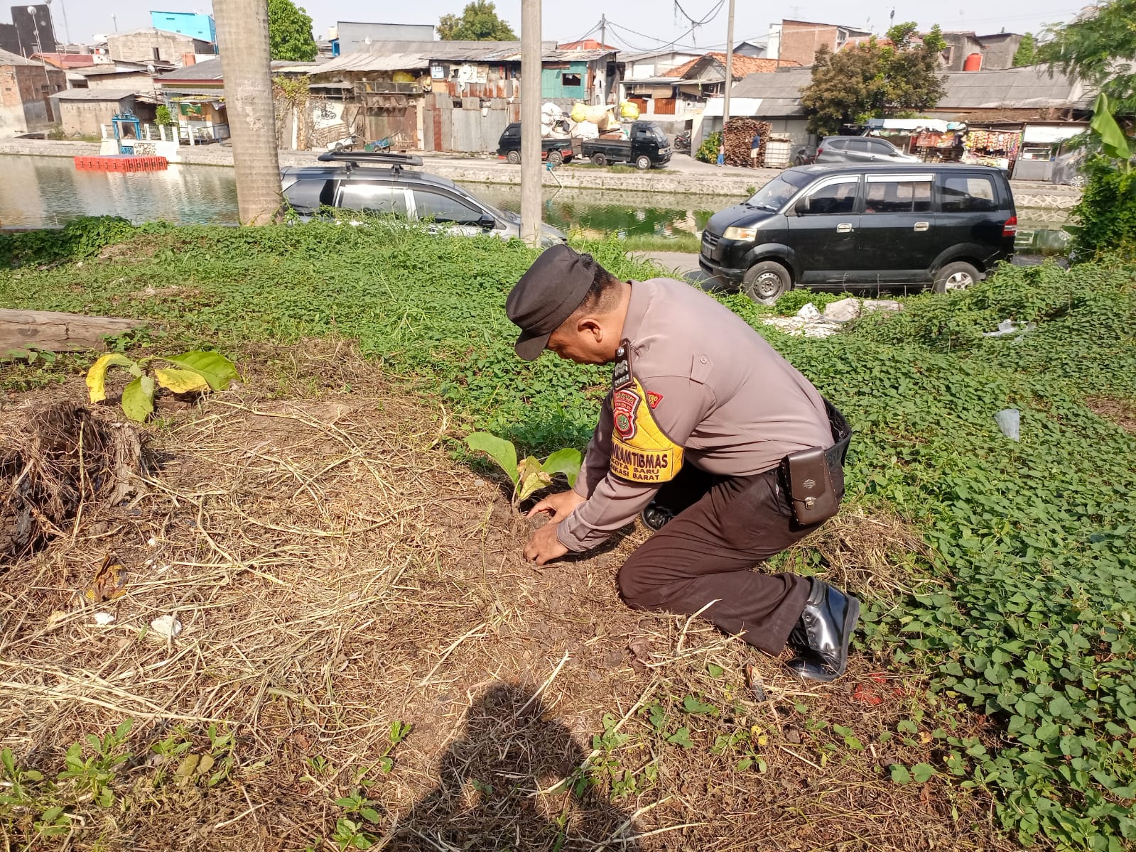 Sukseskan Penanaman 10 Juta Pohon Bersama Polri, Bhabinkamtibmas Kota Baru Lakukan Penanaman Pohon Produktif