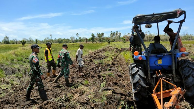 Tingkatkan Swasembada Pangan di Wilayah Perbatasan, Pasukan Tamalatea Cetak Sawah Bersama Warga