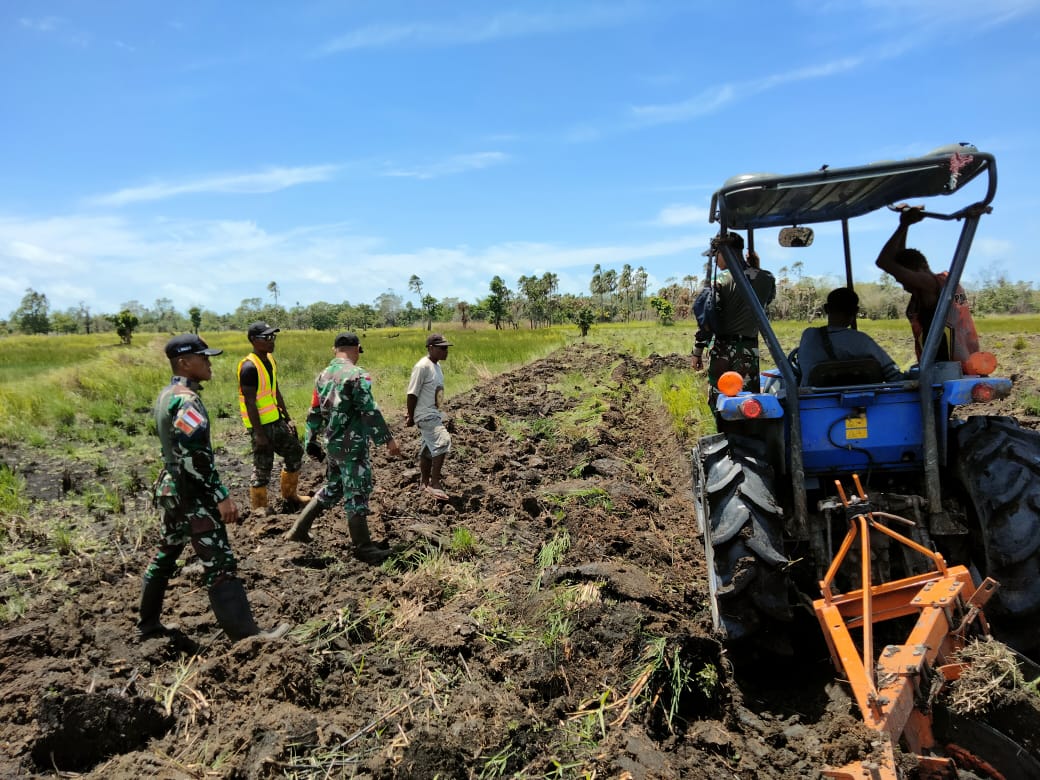 Tingkatkan Swasembada Pangan di Wilayah Perbatasan, Pasukan Tamalatea Cetak Sawah Bersama Warga