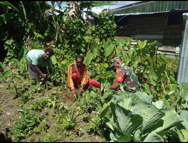 Babinsa 1714-01/Mulia Dampingi Petani Berkebun